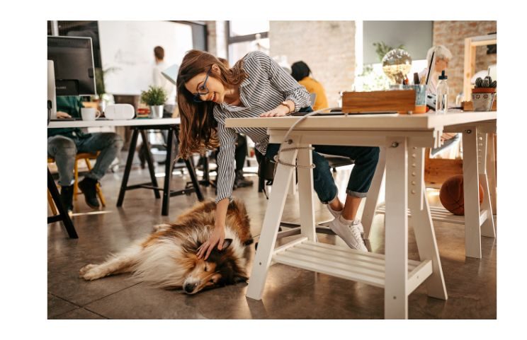 Bringing your dog to the office