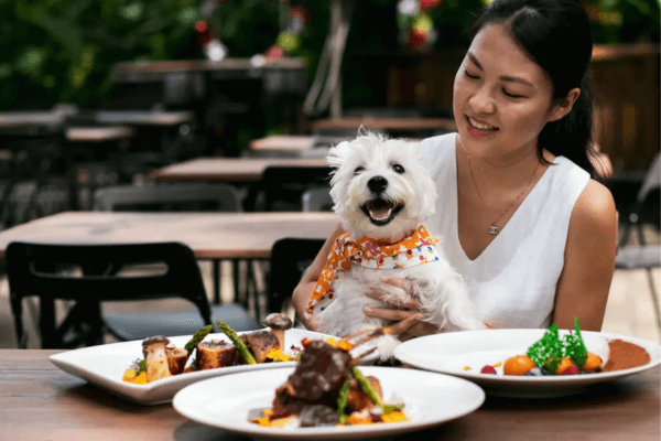 Brunch Dog Friendly 