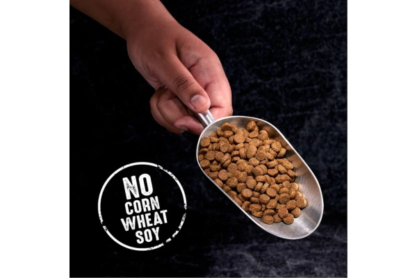 CRAVE Grain Free High Protein Adult Dry Dog Food with Lamb