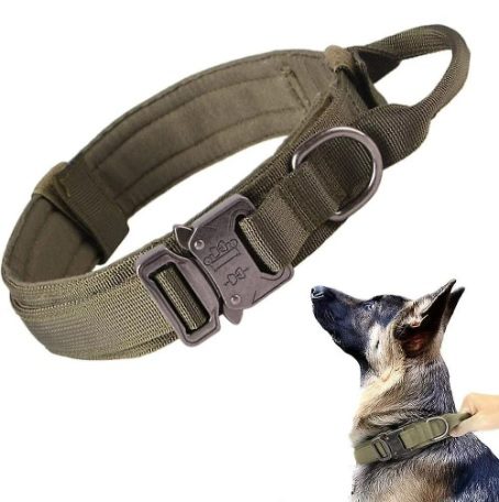 Cuban Link Dog Collar