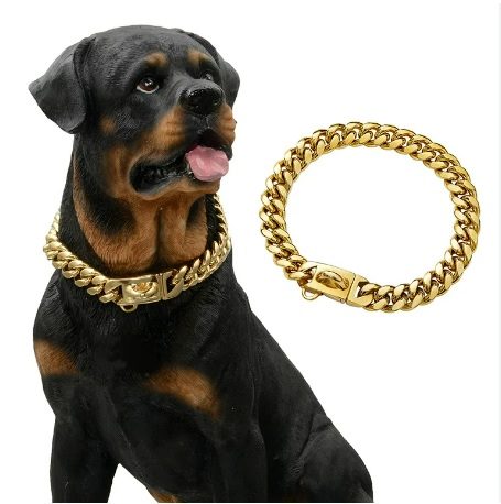 Cuban Link Dog Collar