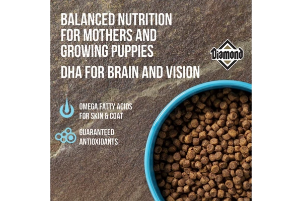 Diamond Premium Recipe Complete And Balanced Dry Dog Food Content Image 2