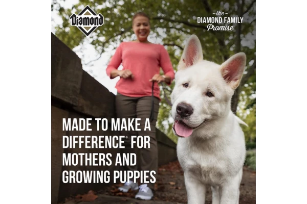 Diamond Premium Recipe Complete And Balanced Dry Dog Food Content Image 4