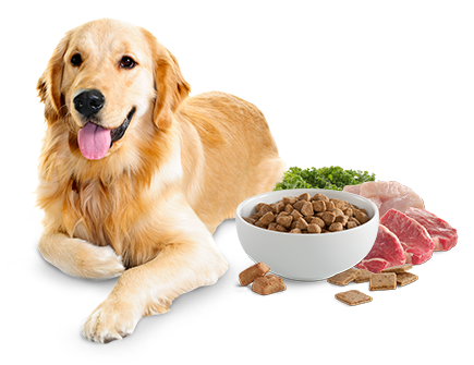 Victor dog food