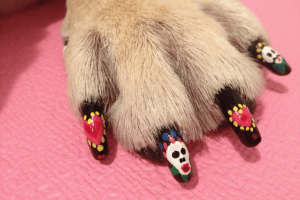 Dog Nail Polish
