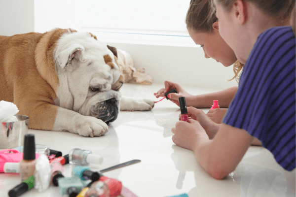 Dog Nail Polish 