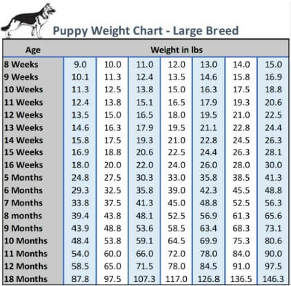 Dog Weight Calculator