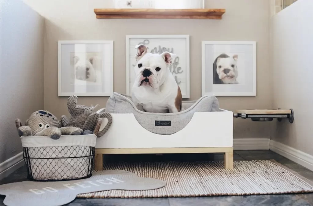 Dog Room Ideas