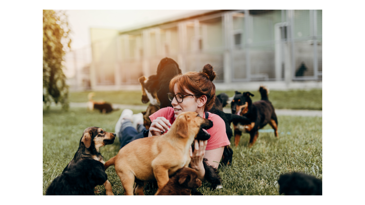 Downey Animal Shelter