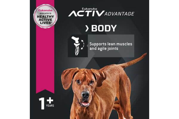 Eukanuba Adult Large Breed Dry Dog Food