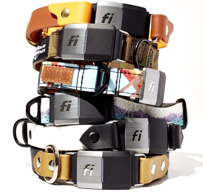 FI dog collar