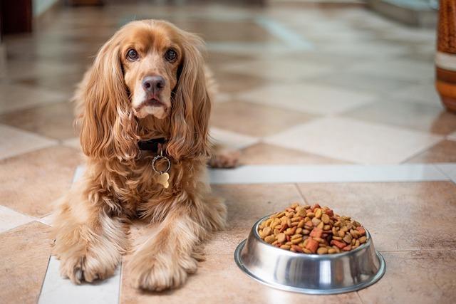 Victor dog food