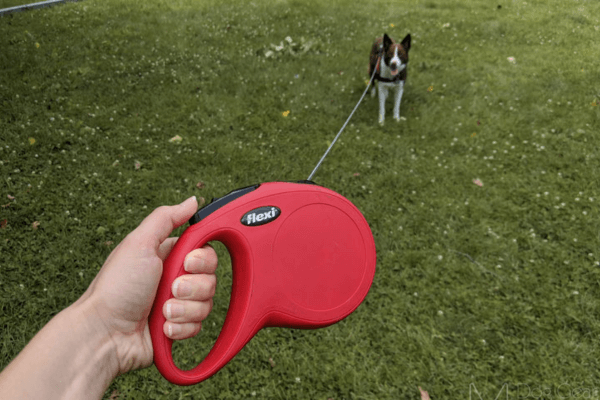Flexi Leash