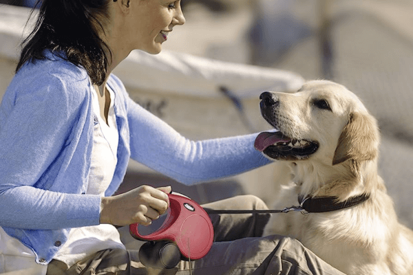 Flexi Leash