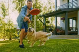 Canine Companion