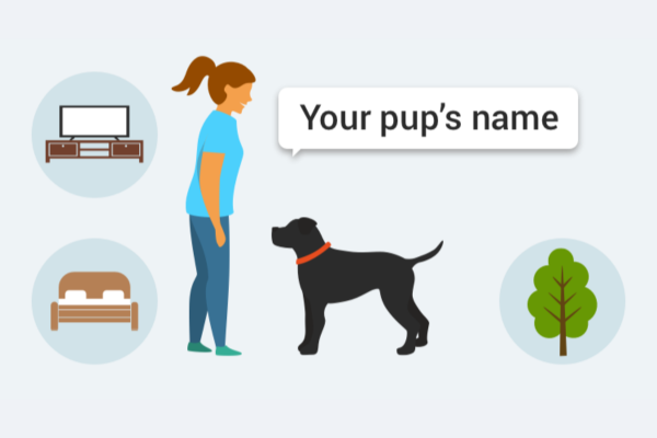 Good pup name