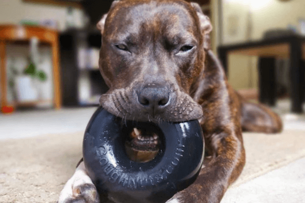 Goughnuts Dog Toys 