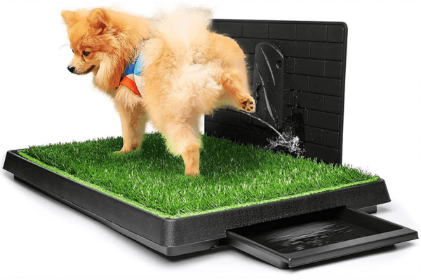 Grass Patch For Dogs