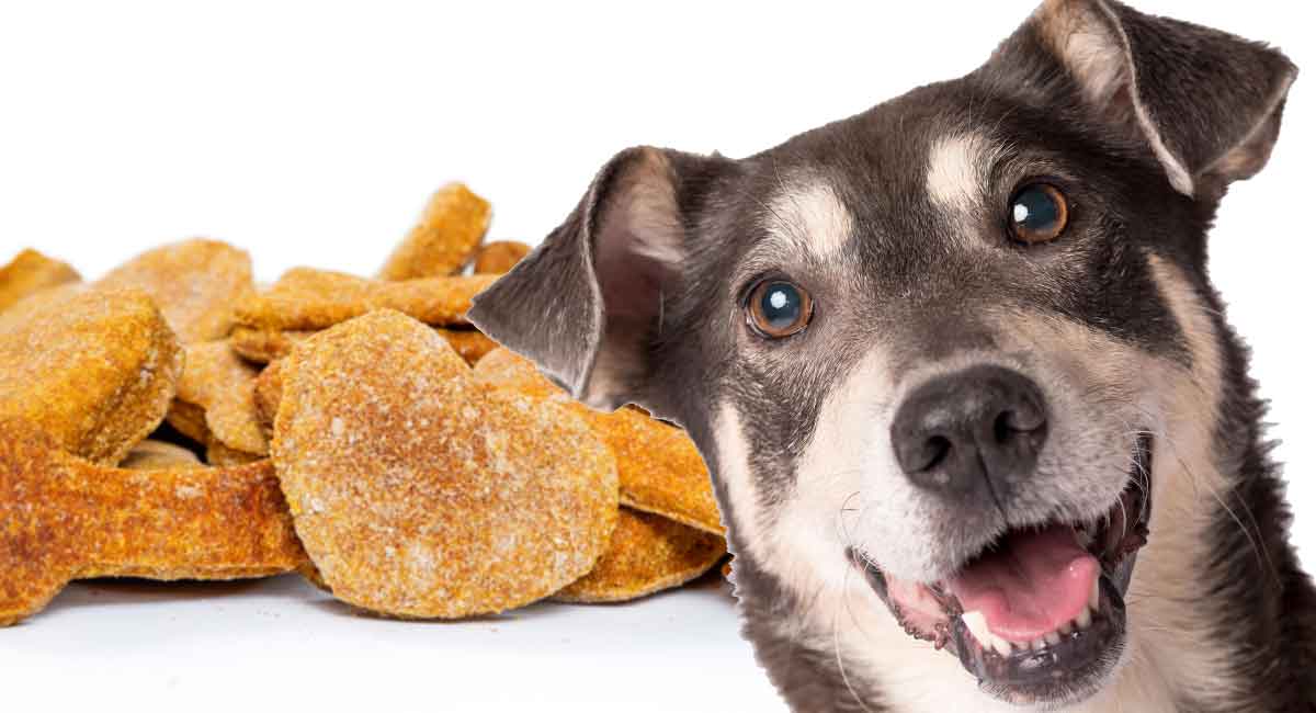 Victor dog food