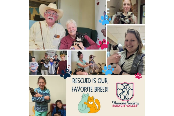 Humane Society of Skagit Valley Content Image 3