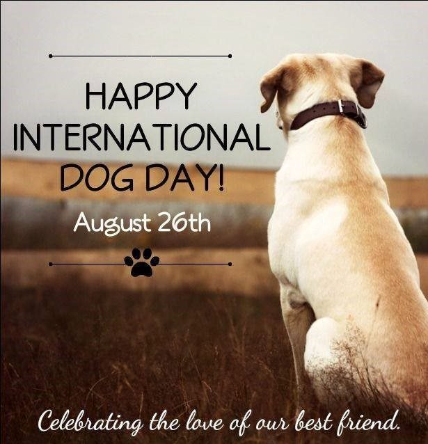 International Dog Day