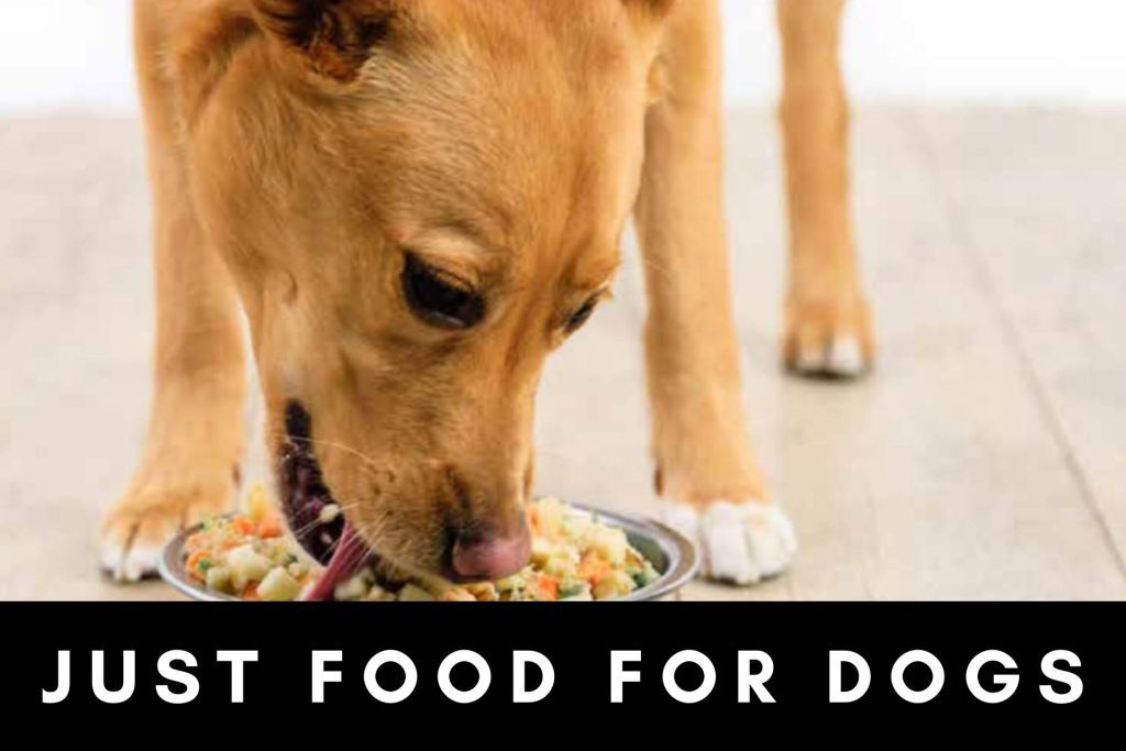 Just Food for Dogs