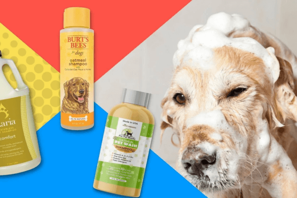 Kills Fleas On Dogs Instantly 