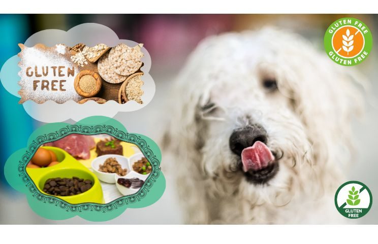 NUTRO Adult Natural Grain Free Wet Dog Food