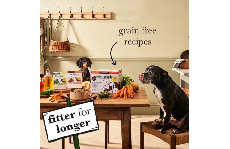 NUTRO Adult Natural Grain Free Wet Dog Food Review