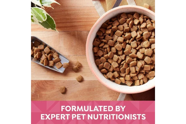 Nature's Recipe Dry Dog Food Grain Free Salmon content image