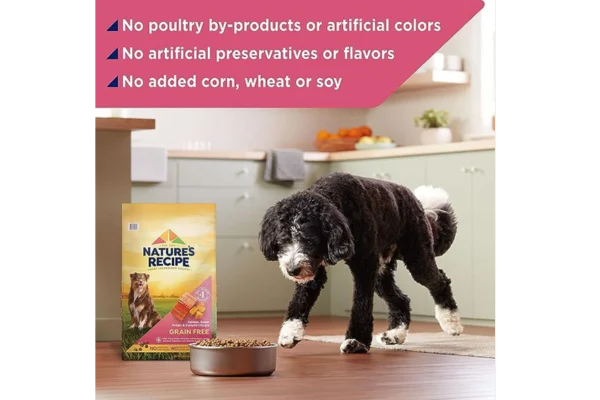 Nature's Recipe Dry Dog Food Grain Free Salmon