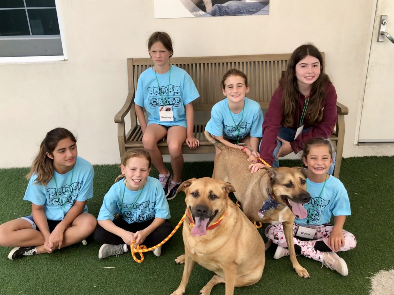 Humane Society Miami