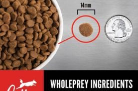 Orijen Dog Food