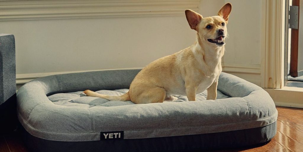Orthopedic Dog Bed