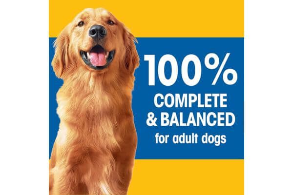 PEDIGREE Complete Nutrition Adult Dry Dog Food