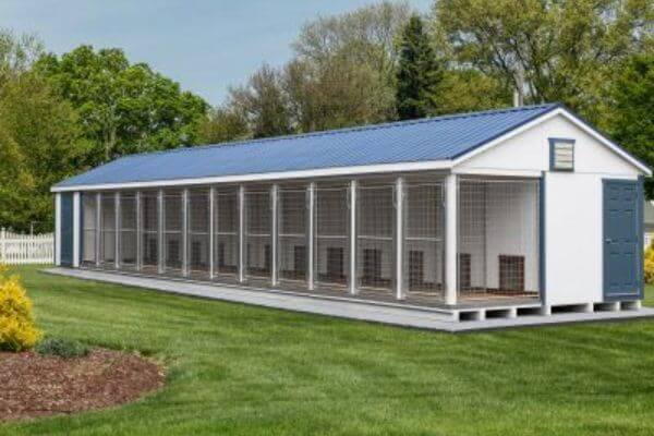 large dog kennel