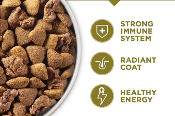 Purina ONE Dry Dog Food Lamb and Rice Formula