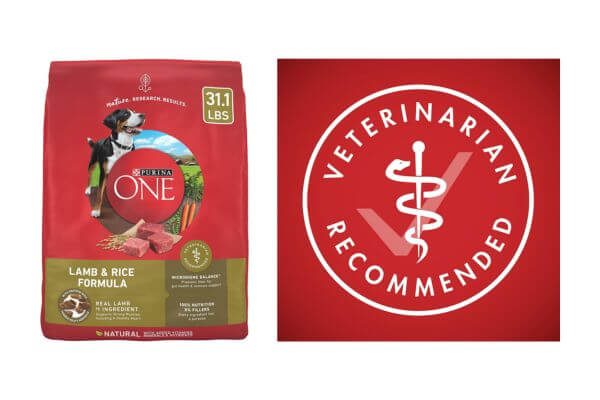 Purina ONE Dry Dog Food Lamb and Rice Formula