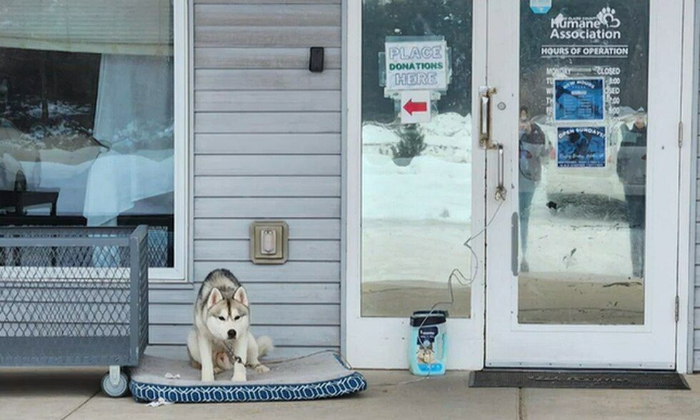 EAU Claire Humane Society