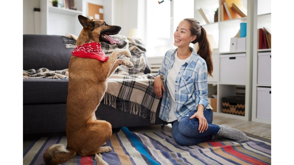 Relieving Rescue Dog Separation Anxiety