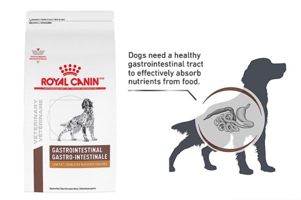 Royal Canin