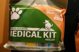 Adventure With Your Furry Best Friend