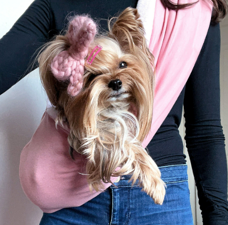 Dog sling