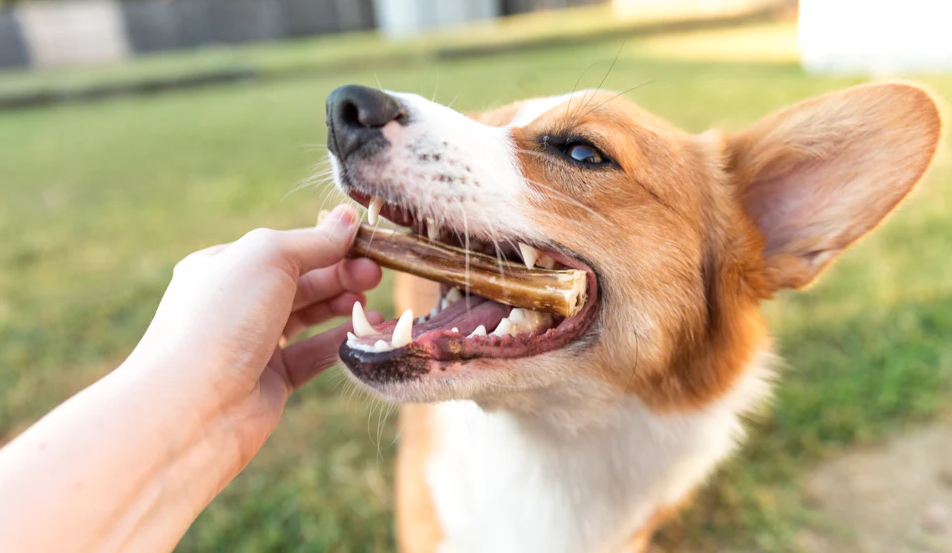 Bully Sticks