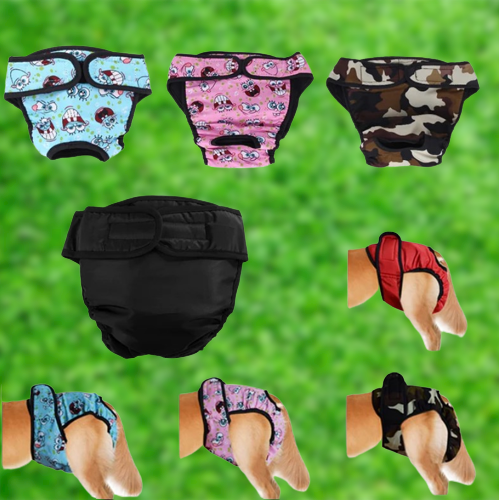 dog diapers