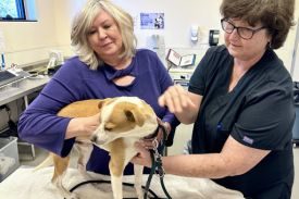 Jan Rees Jones Animal Care Center