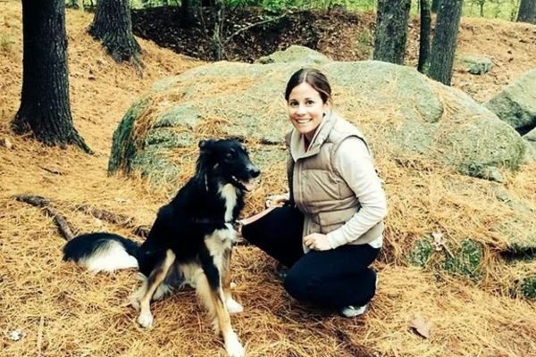 Spirit Dog Training 