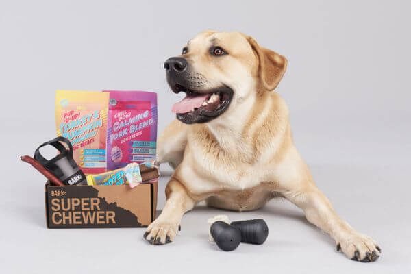 Barkbox Super Chewer