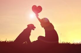 How Dogs Make Our Lives Complete