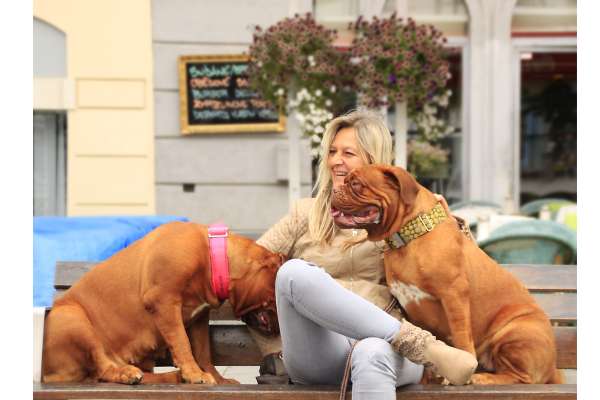 's Vibrant and Varied Dog Businesses